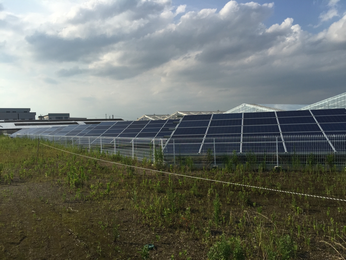 西尾市市太陽光発電所の外観